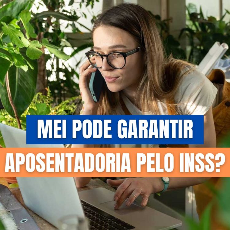 MEI INSS