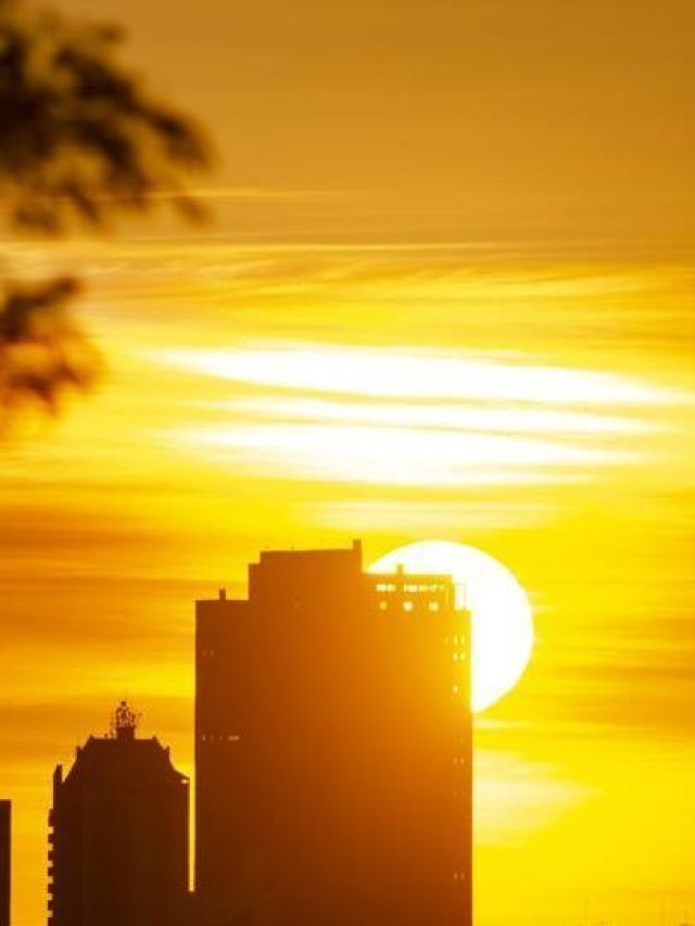cropped-image-2.jpg