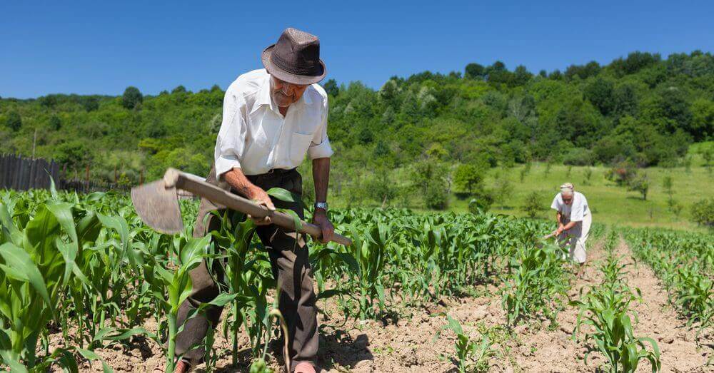 Seguro-desemprego para agricultores ganha novos critérios de solicitação