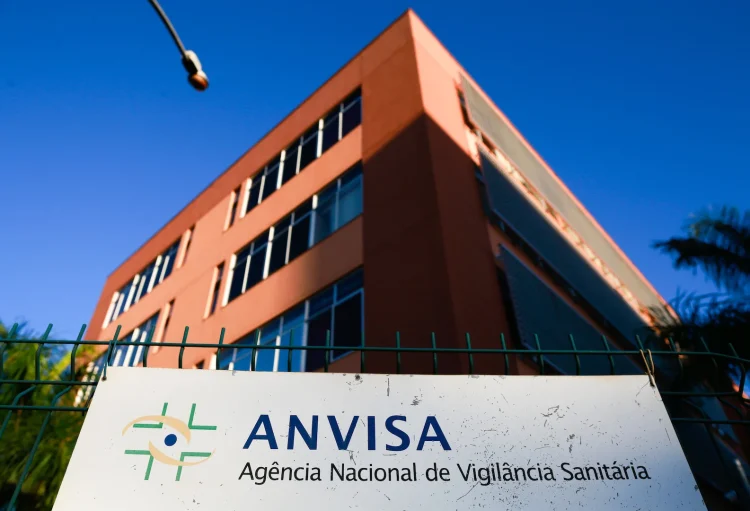 Brasileiros enfrentam mudanças na hora de fazer a feira após proibições de produtos; veja o que muda