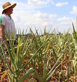 Governo anuncia linha de crédito exclusiva para pequenos produtores do RS