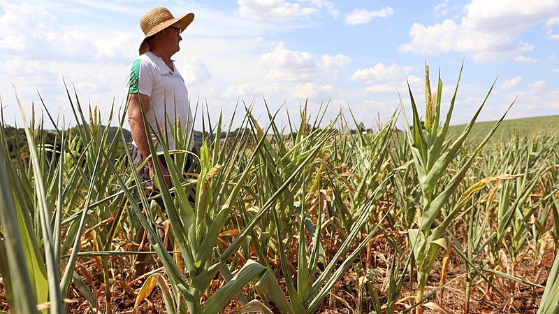 Governo anuncia linha de crédito exclusiva para pequenos produtores do RS