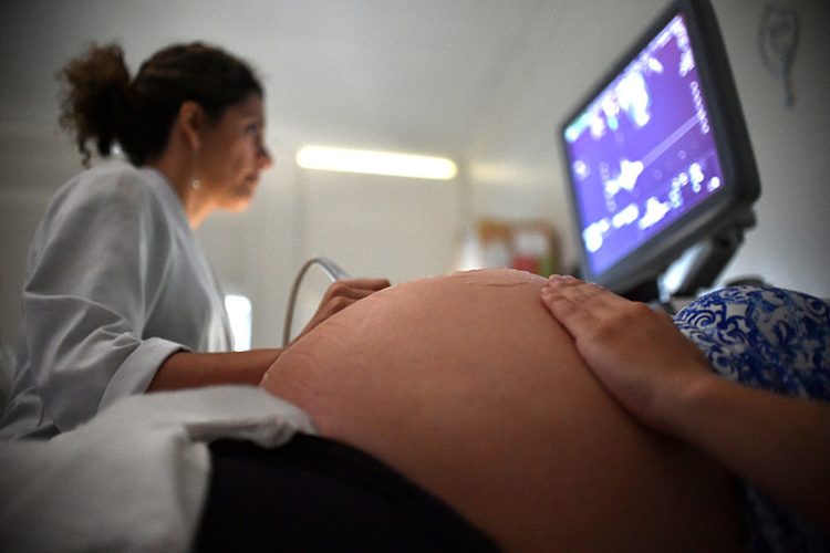 4 alimentos que as gestantes NÃO podem consumir e porquê