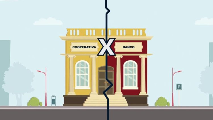 cooperativa