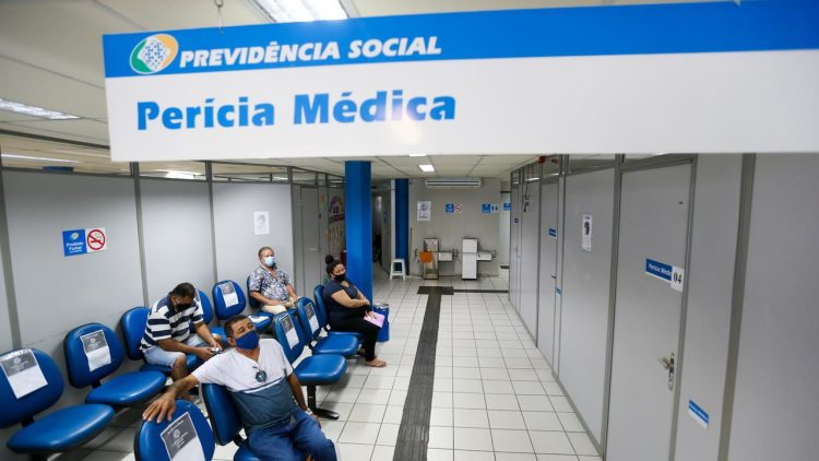 pericia