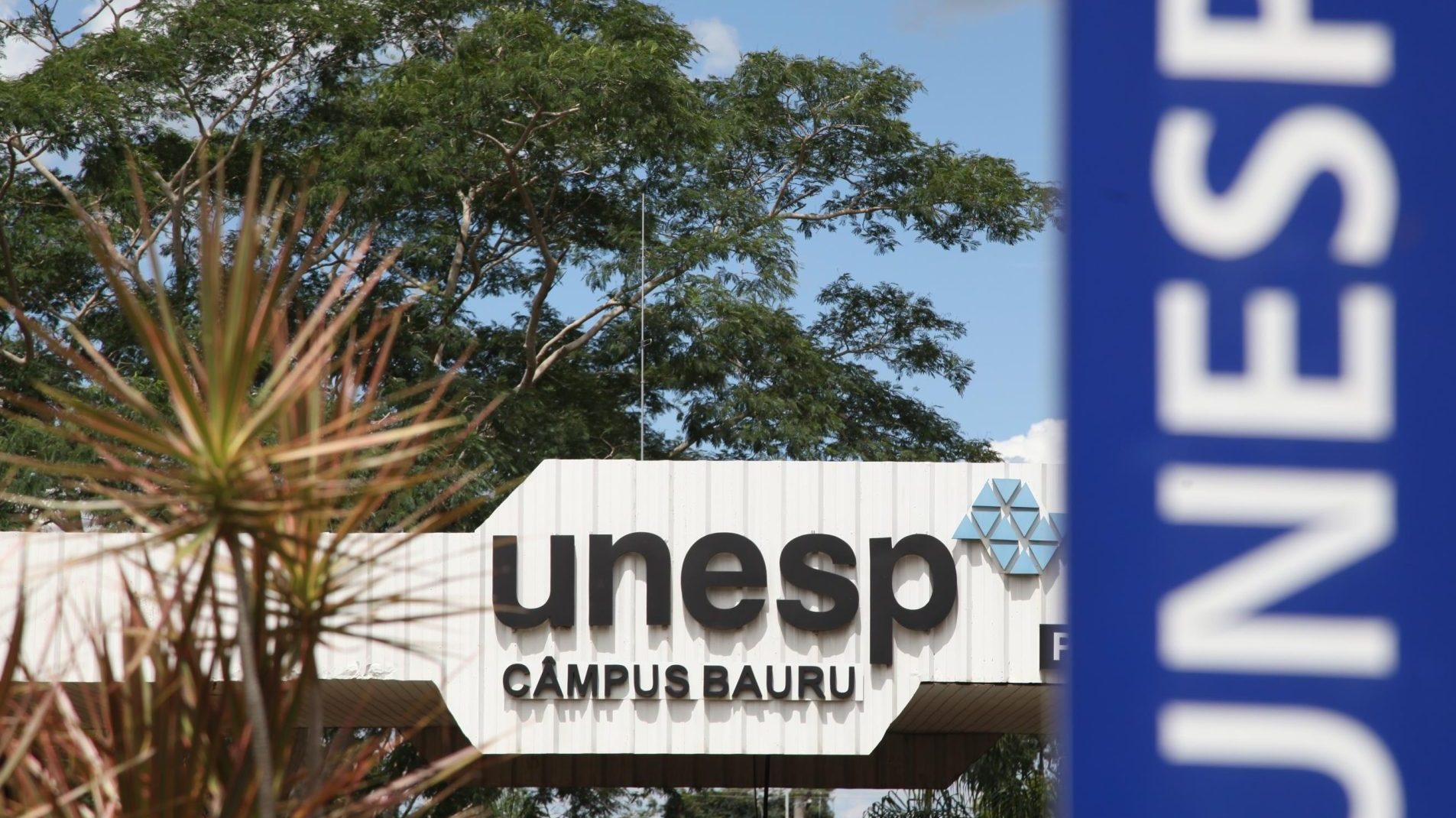 unesp