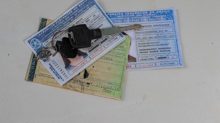 CNH social: conheça as leis de trânsito para quem dirige profissionalmente