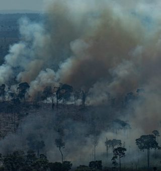 Lista de brasileiros afetados por incêndios e queimadas vão receber auxílio do governo; veja valor