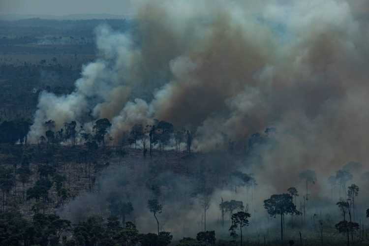 Lista de brasileiros afetados por incêndios e queimadas vão receber auxílio do governo; veja valor