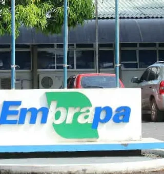 Embrapa deve ter concurso com mais de 1,7 mil vagas e salários que chegam a R$ 29 mil; veja as primeiras informações