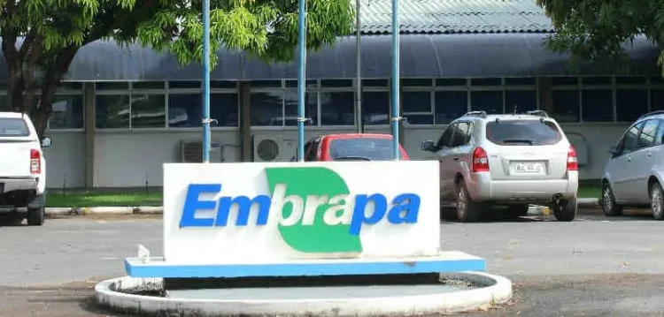 Embrapa deve ter concurso com mais de 1,7 mil vagas e salários que chegam a R$ 29 mil; veja as primeiras informações