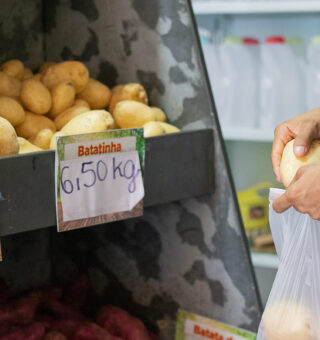 Esqueça o preço alto! Veja como driblar o supermercado e apostar nas frutas e verduras da época