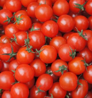 Um monte de tomate com casca