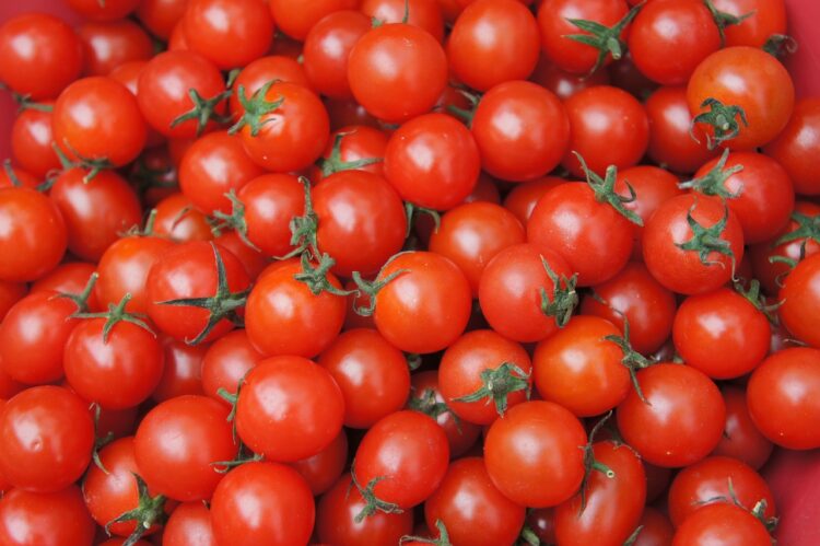 Um monte de tomate com casca