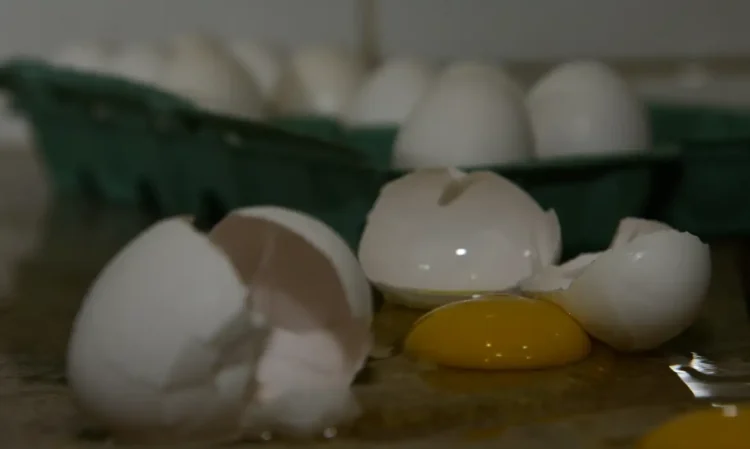 Governo confirma preço mais baixo do ovo e divulga qual é o melhor momento para comprar