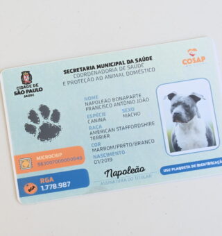 URGENTE: Governo Federal lança o SimPatinhas, RG para cães e gatos! Descubra como funciona e para que serve