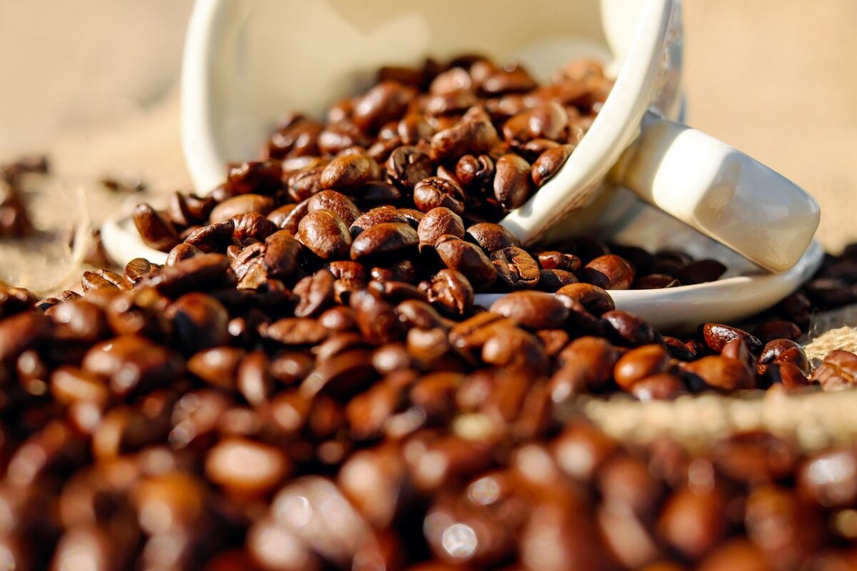 Você pode estar tomando café falso e nem sabe; veja como identificar no mercado