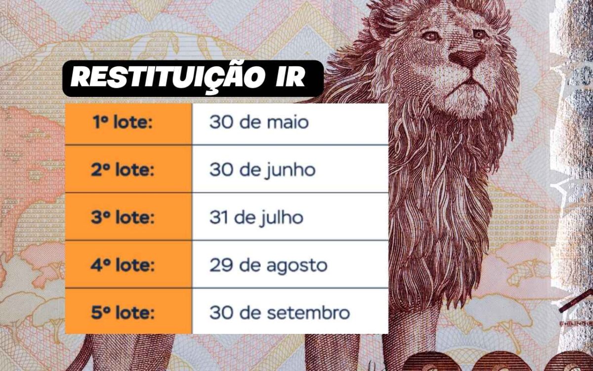 3º lote da restituição do IRPF já tem data marcada! Confira o calendário e como reaver os valores