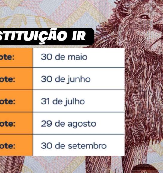 3º lote da restituição do IRPF já tem data marcada! Confira o calendário e como reaver os valores