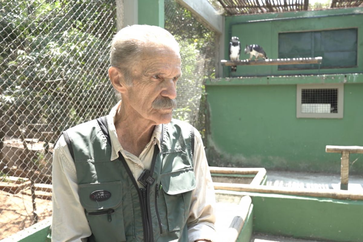 Brasileiro salva aves da extinção