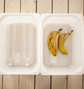 Por que guardar cascas de frutas na geladeira pode ajudar na conservação dos alimentos