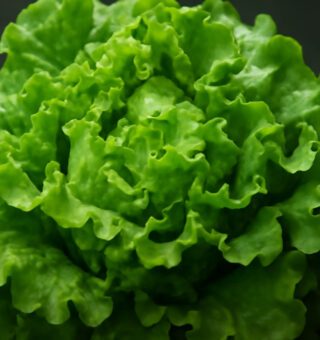 Você sabia? Esse vegetal comum pode fazer você dormir melhor — mas quase ninguém aproveita!