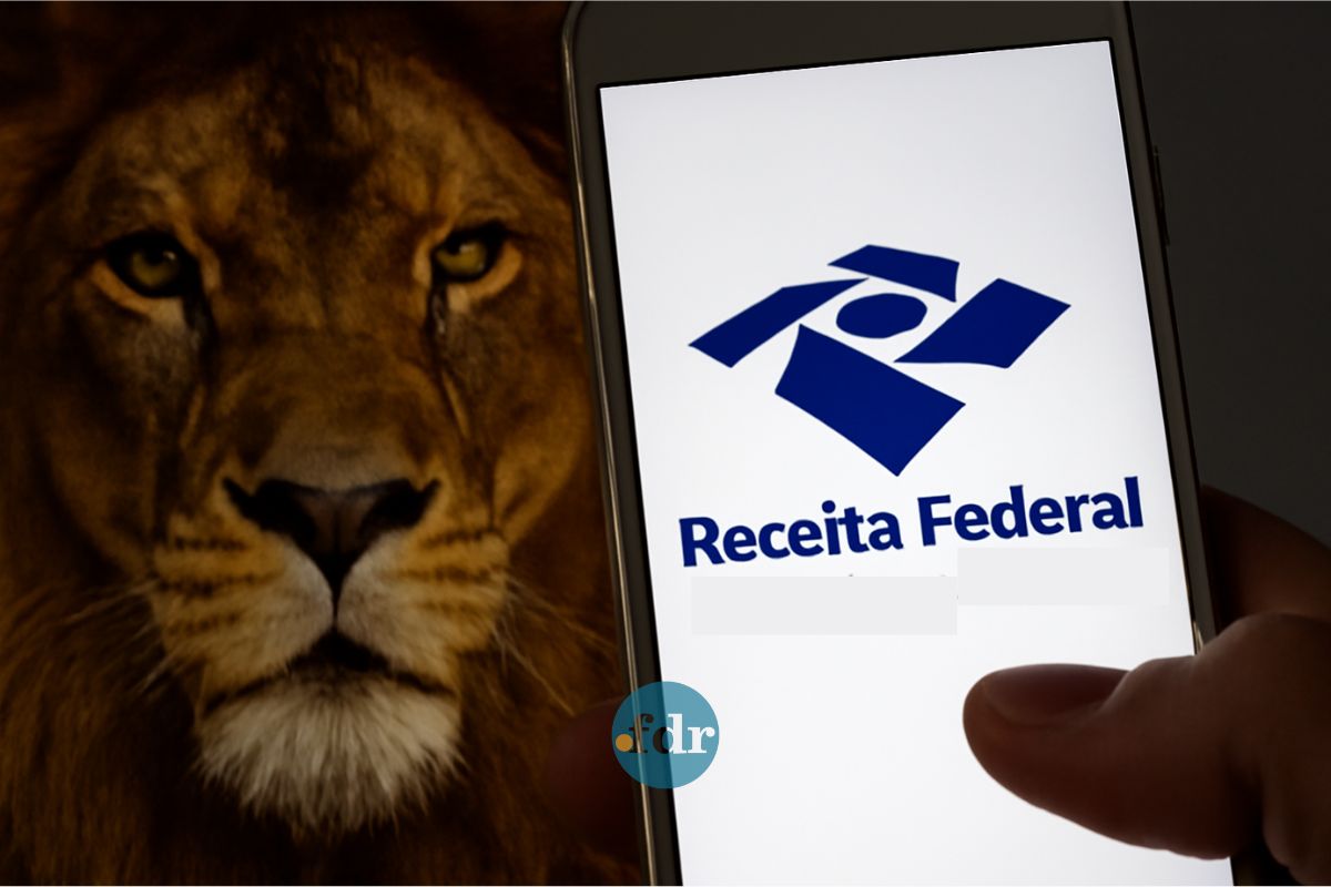 Uma pessoa olha o aplicativo para ver quando sai a restituição do Imposto de Renda 2025