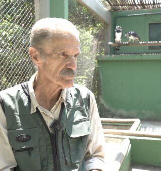 Brasileiro salva aves da extinção