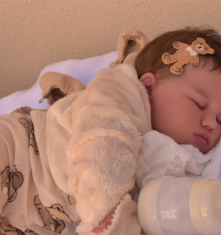 Novo projeto de lei propõe apoio psicológico a quem se considera mãe ou pai de bebê reborn no SUS
