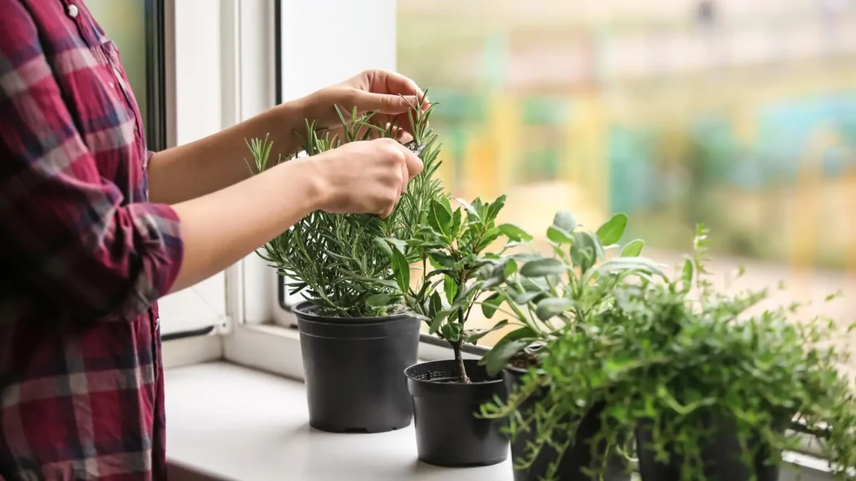 Como criar um cantinho de bem-estar em casa com pouco dinheiro