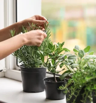 Como criar um cantinho de bem-estar em casa com pouco dinheiro