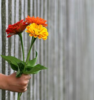 Presentes baratos e criativos para o Dia dos Namorados: como economizar sem perder o romantismo