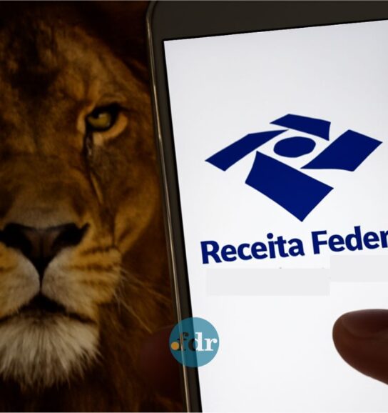 Uma pessoa olha o aplicativo para ver quando sai a restituição do Imposto de Renda 2025