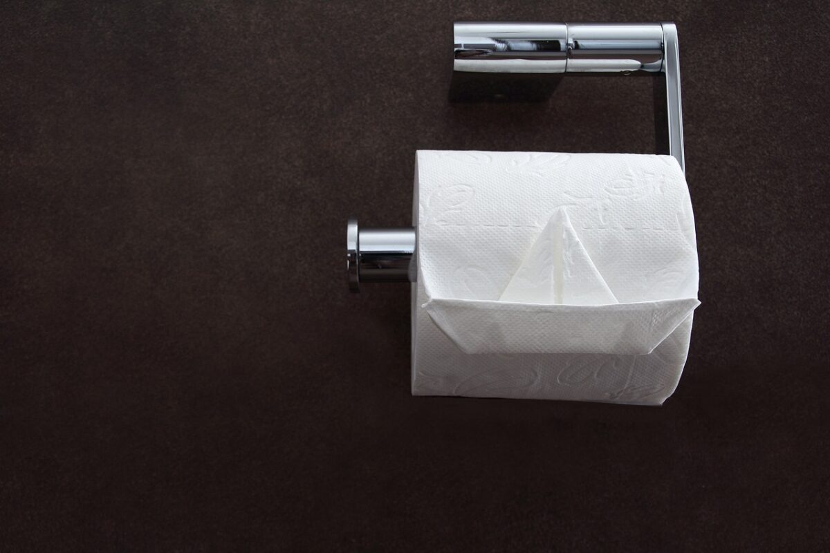 O que acontece se você jogar papel higiênico no vaso no Brasil? Veja o alerta