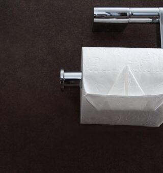 O que acontece se você jogar papel higiênico no vaso no Brasil? Veja o alerta