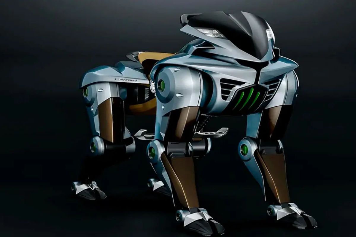 Kawasaki Inova com o CORLEO