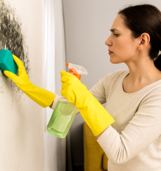 Como remover o mofo da sua casa: 7 dicas simples que aprendi com a minha mãe