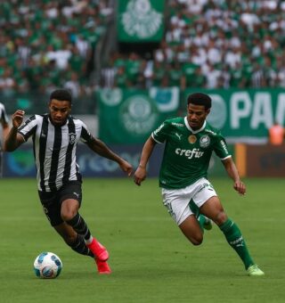 Jogadores do Palmeiras e Botafogo em campo