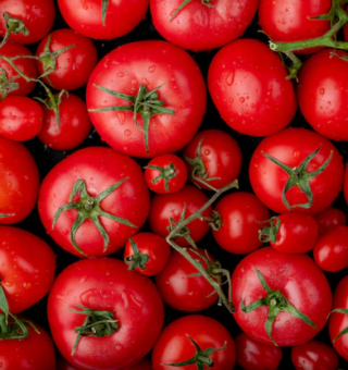 Venda de tomate é proibida por risco de doença grave! Aprenda a se proteger
