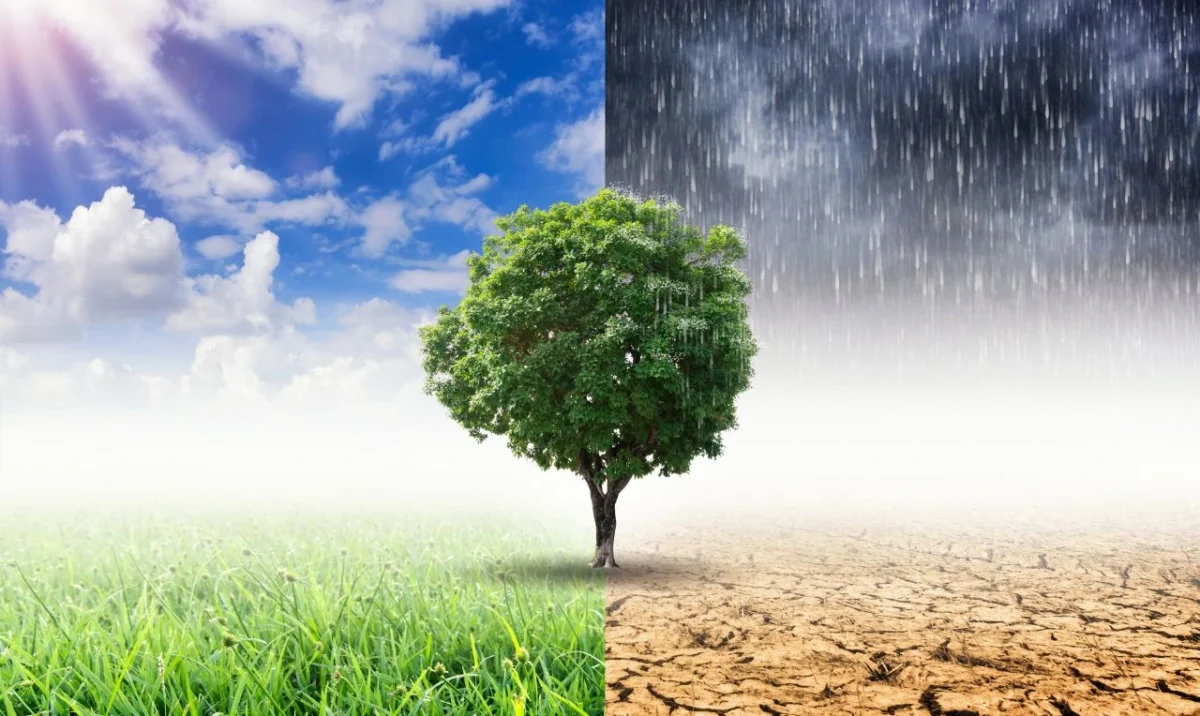 Como será o clima de agosto pelo Brasil? Descubra e se prepare!