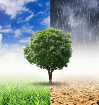 Como será o clima de agosto pelo Brasil? Descubra e se prepare!