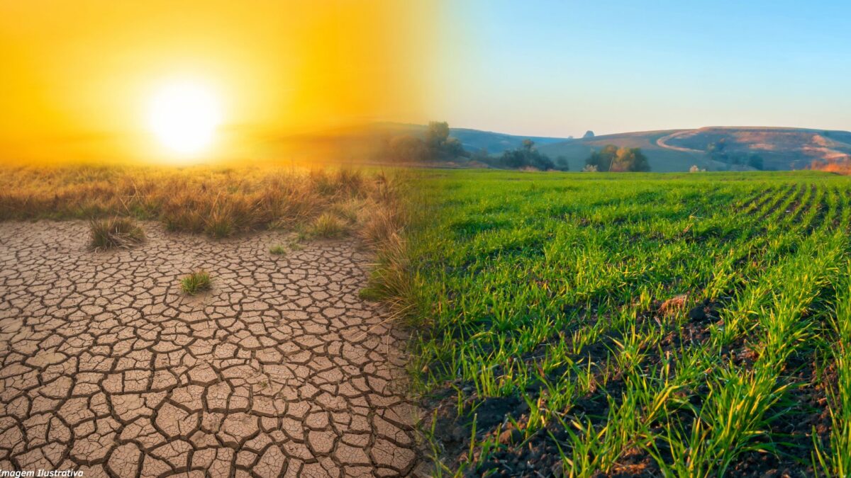 Mudanças climáticas intensas e juros altos afetam o agronegócio; pedidos de recuperação judicial aumentam