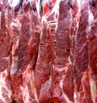 Queda na venda de carne bovina do Brasil para os EUA bate novo recorde com taxa de 60%