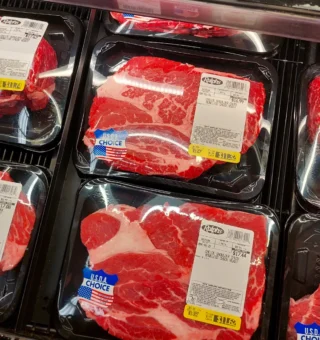 Mosca carnívora ameaça a carne bovina nos EUA e pode dar fim à taxa de 50% sobre o Brasil