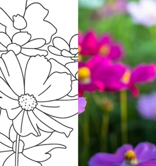 Uma imagem de flor convertida em Bobbie Goods