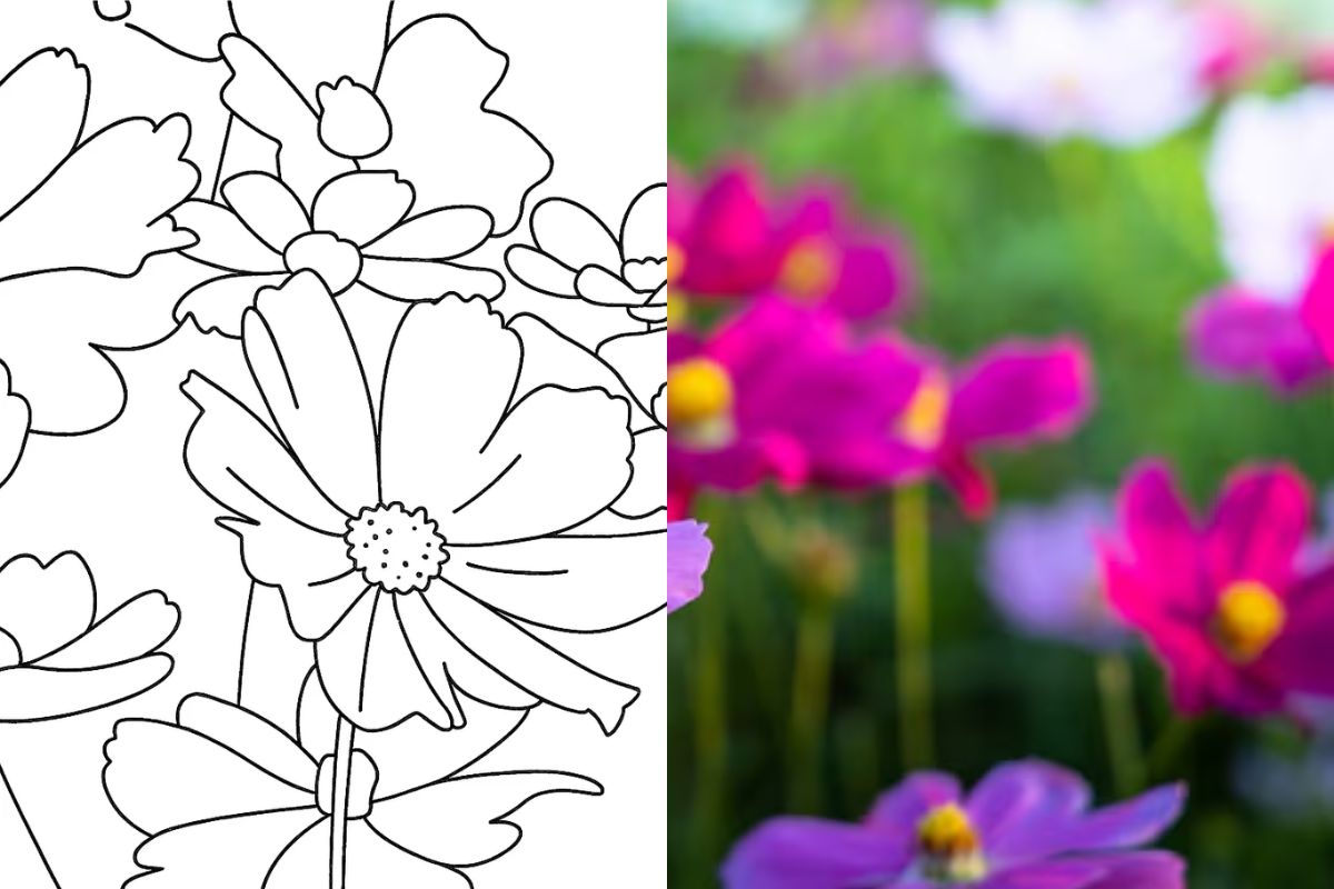 Uma imagem de flor convertida em Bobbie Goods
