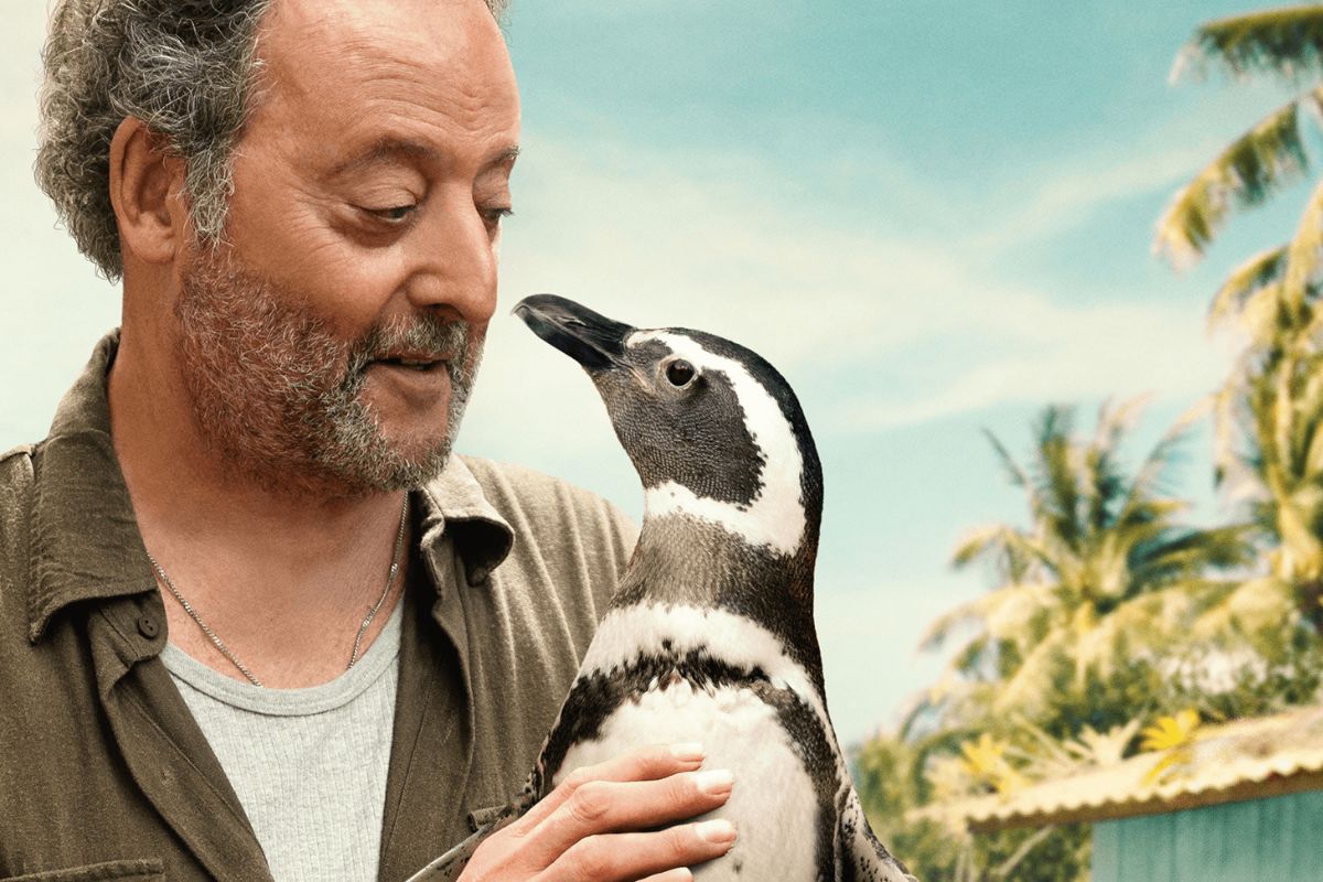 Melhor filme - capa de "Meu amigo pinguim"