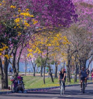 Que dia começa a primavera? Mudança de estação está programada para setembro
