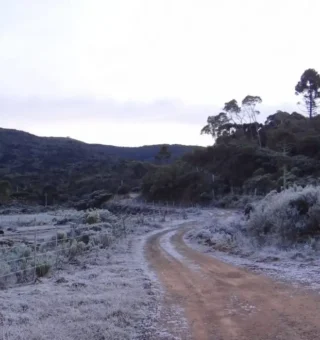 Alerta de geadas atinge regiões Sul e Sudeste: prepare-se para o frio intenso