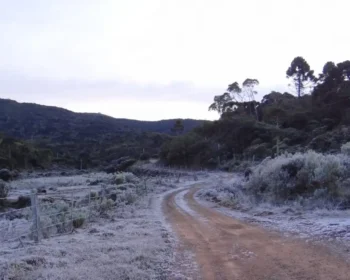 Alerta de geadas atinge regiões Sul e Sudeste: prepare-se para o frio intenso